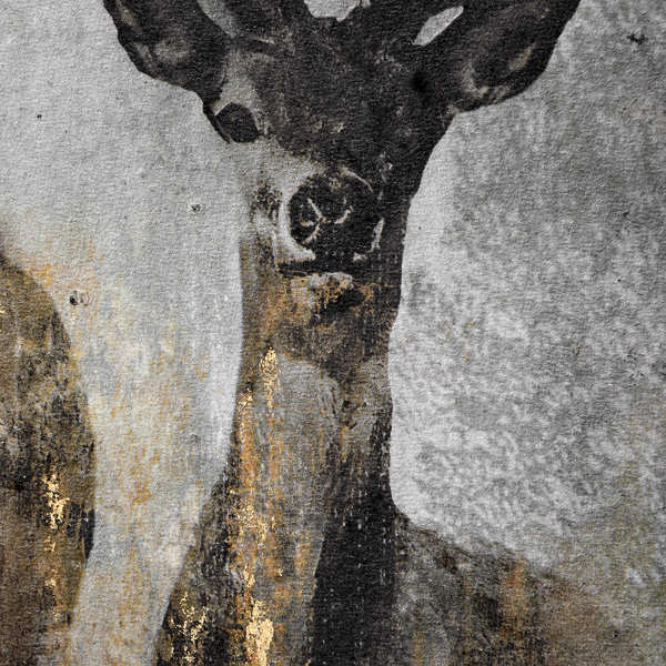 Large Curious Stag Painting on Cement Board  Art with Frame